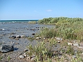 Western Michigan [2010] 826
